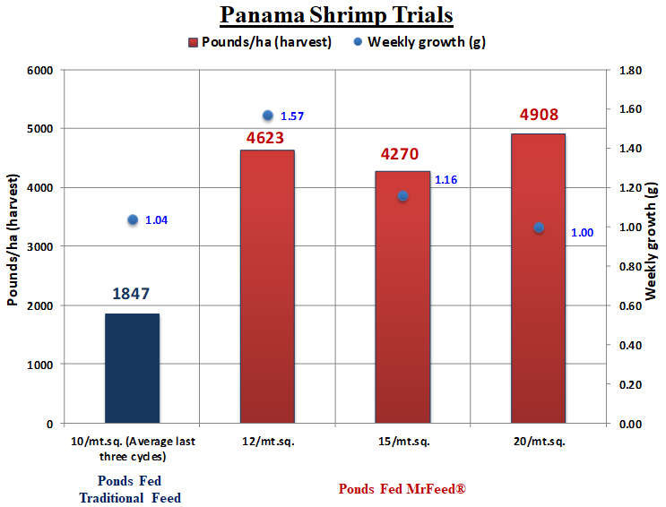 Trials in Panama showed that shrimp fed a diet including MrFeed® achieved harvest yields of 2.5 times greater than ponds fed traditional feed. This performance was driven by the ability to achieve higher pond density and accelerated growth 
