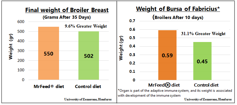 Final Weight of Broiler Breast and Bursa of Fabricius